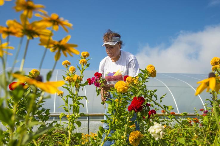 Farming While Black still poses challenges in the agricultural community